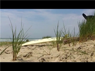 hourra surf