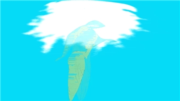 nuage non sage.. non image