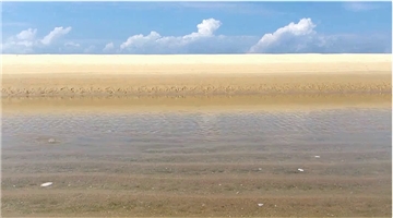 some june 2014