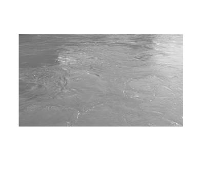 february_as_usual