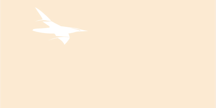 l_oiseau blanc au pays des merveilles