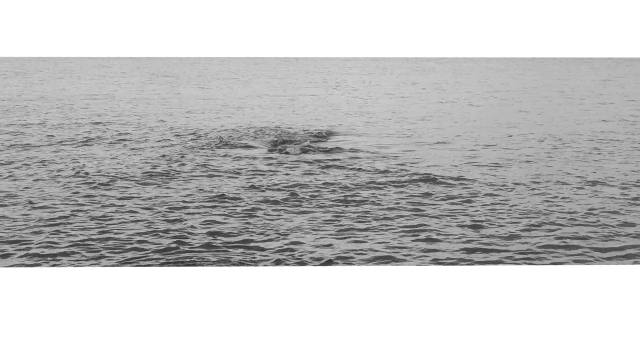 nada_surf_0725