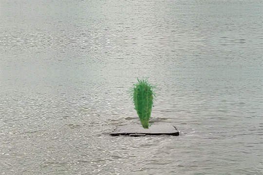 the last survivor