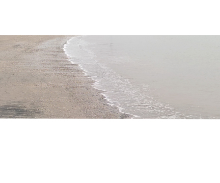 vague_de_froid